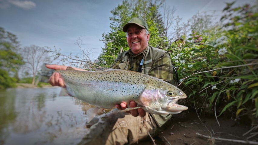 big Rainbow trout (Small).